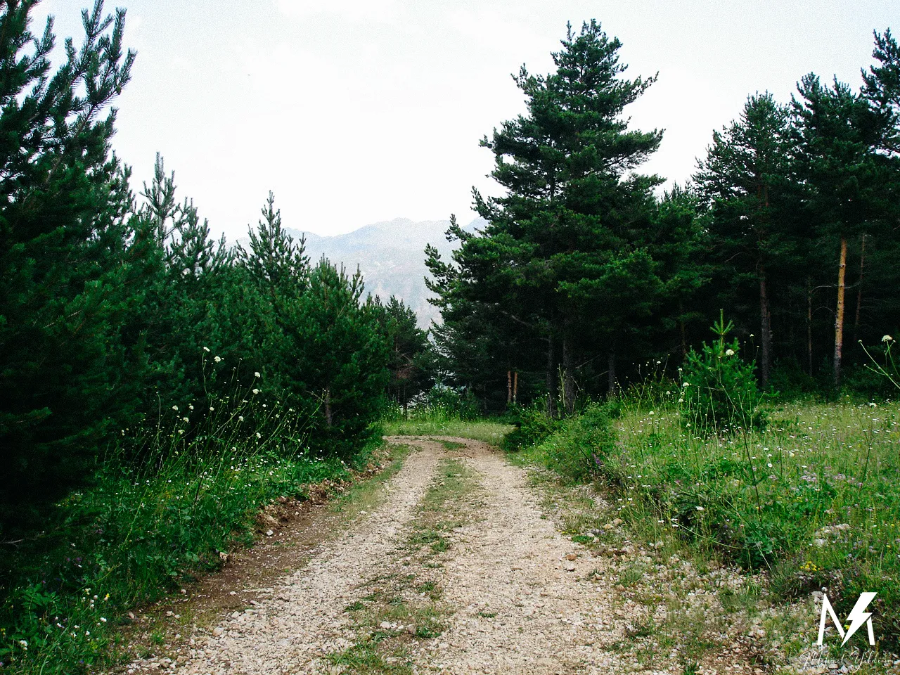 Yalnız Kaldım Koca Dünyada